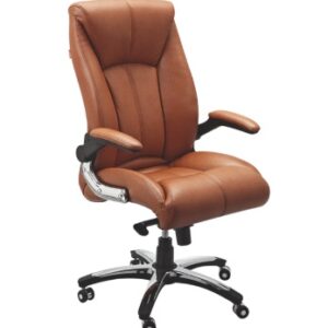 Executive Chair 10